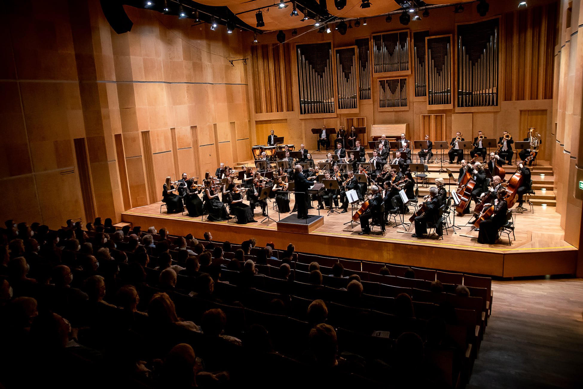 JANÁČEK, PERRY, HAYDN | Czakaj | Chrenowicz | Orkiestra Filharmonii Opolskiej