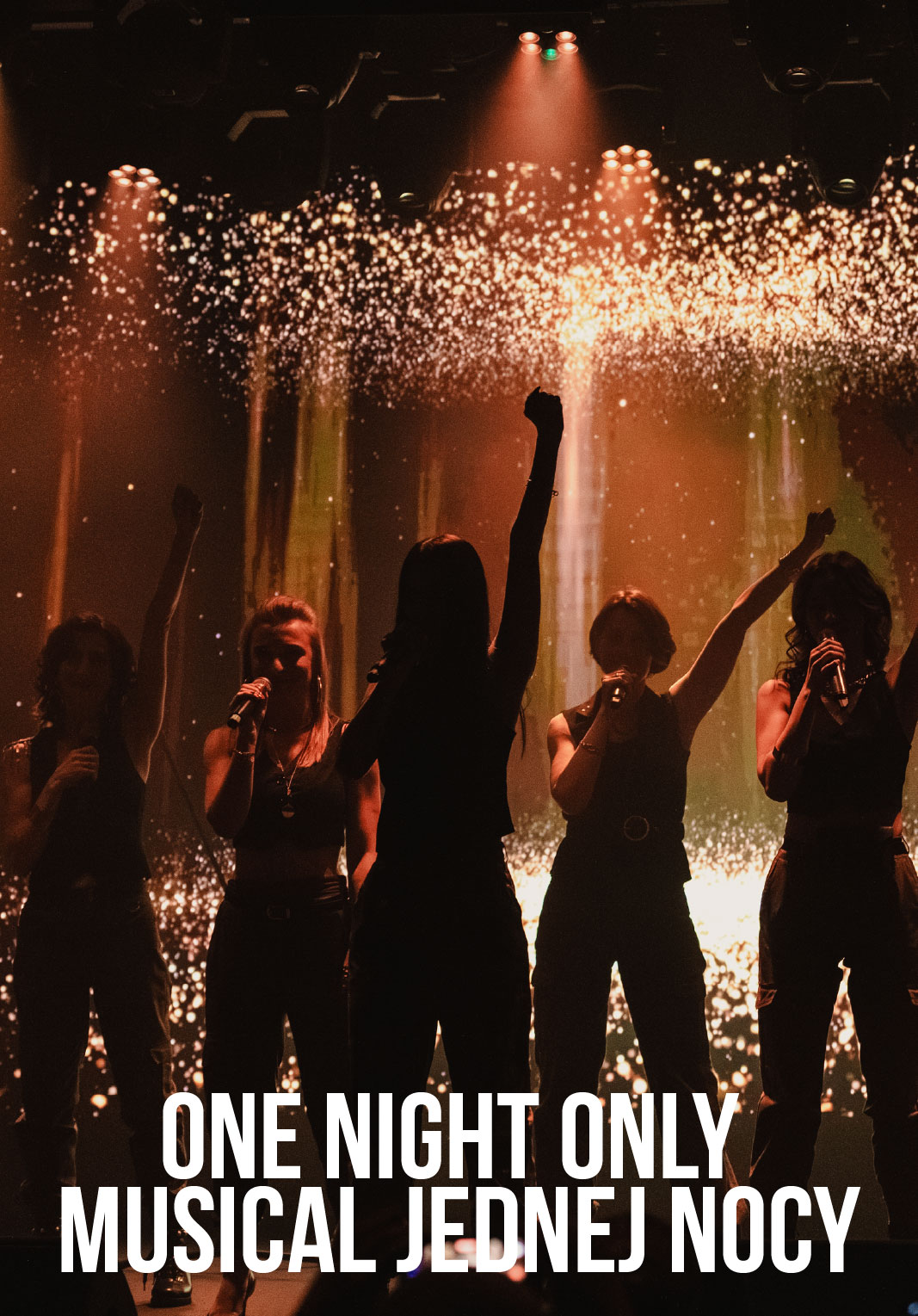 ONE NIGHT ONLY – MUSICAL JEDNEJ NOCY